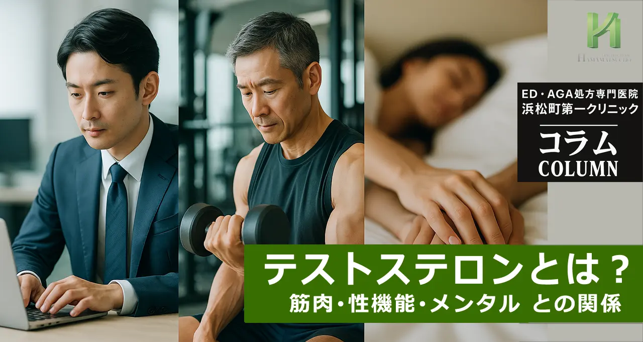 テストステロンとは？