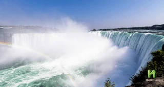 バイアグラ名前の由来