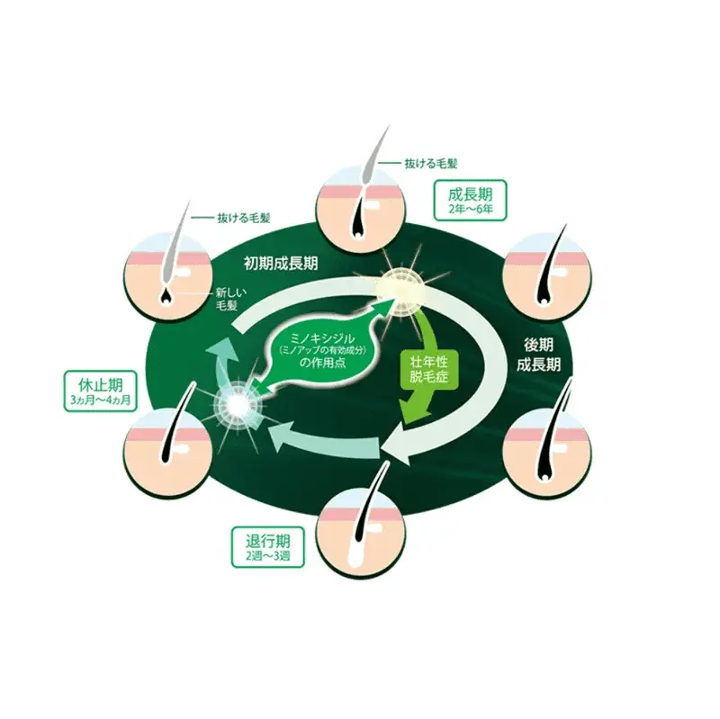 当院のようにAGAの専門治療を行う医療機関にご相談を！
