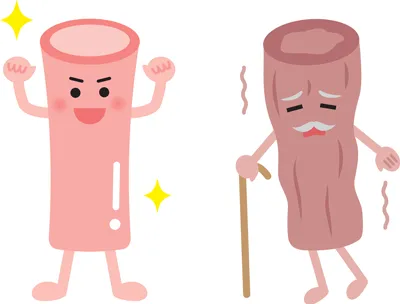 加齢による血管の弾力性低下