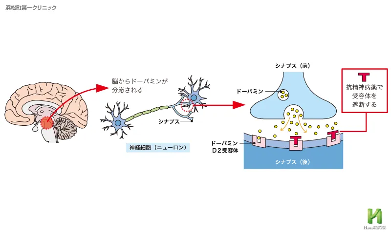 抗精神病薬の作用機序