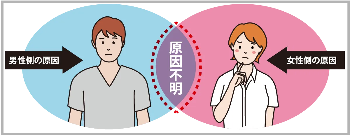 不妊の原因の男女比率