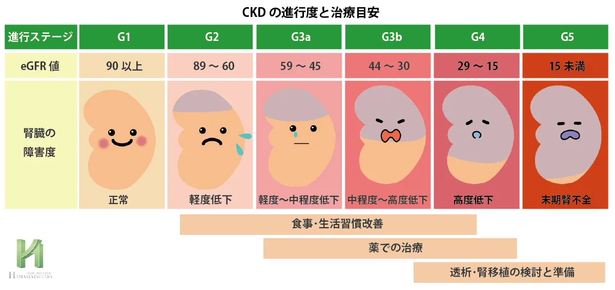 CKDのGFR区分と進行度