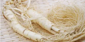 高麗人参