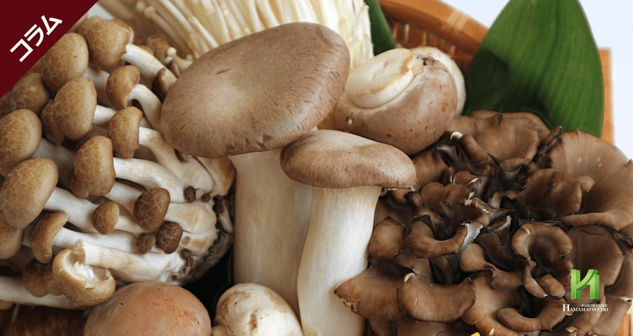 栄養豊富！旬を迎える「きのこ」の魅力