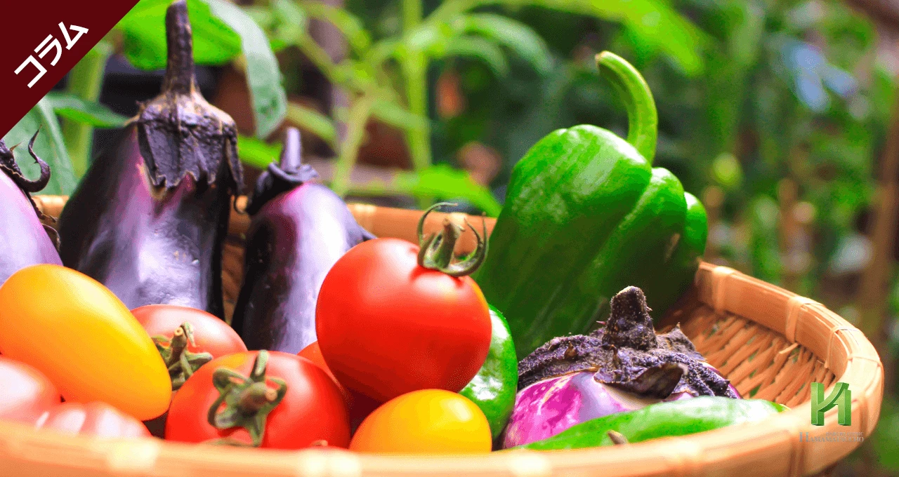 野菜１日350gを食べるコツ