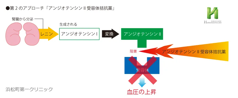 アンジオテンシン2受容体拮抗薬の降圧作用