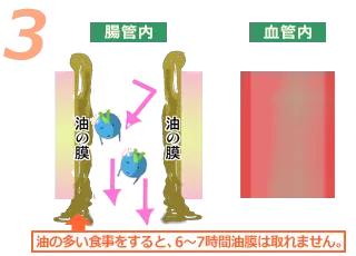 油分の多い食事の後は、数時間たっても食事の影響が残る場合があることを表した図