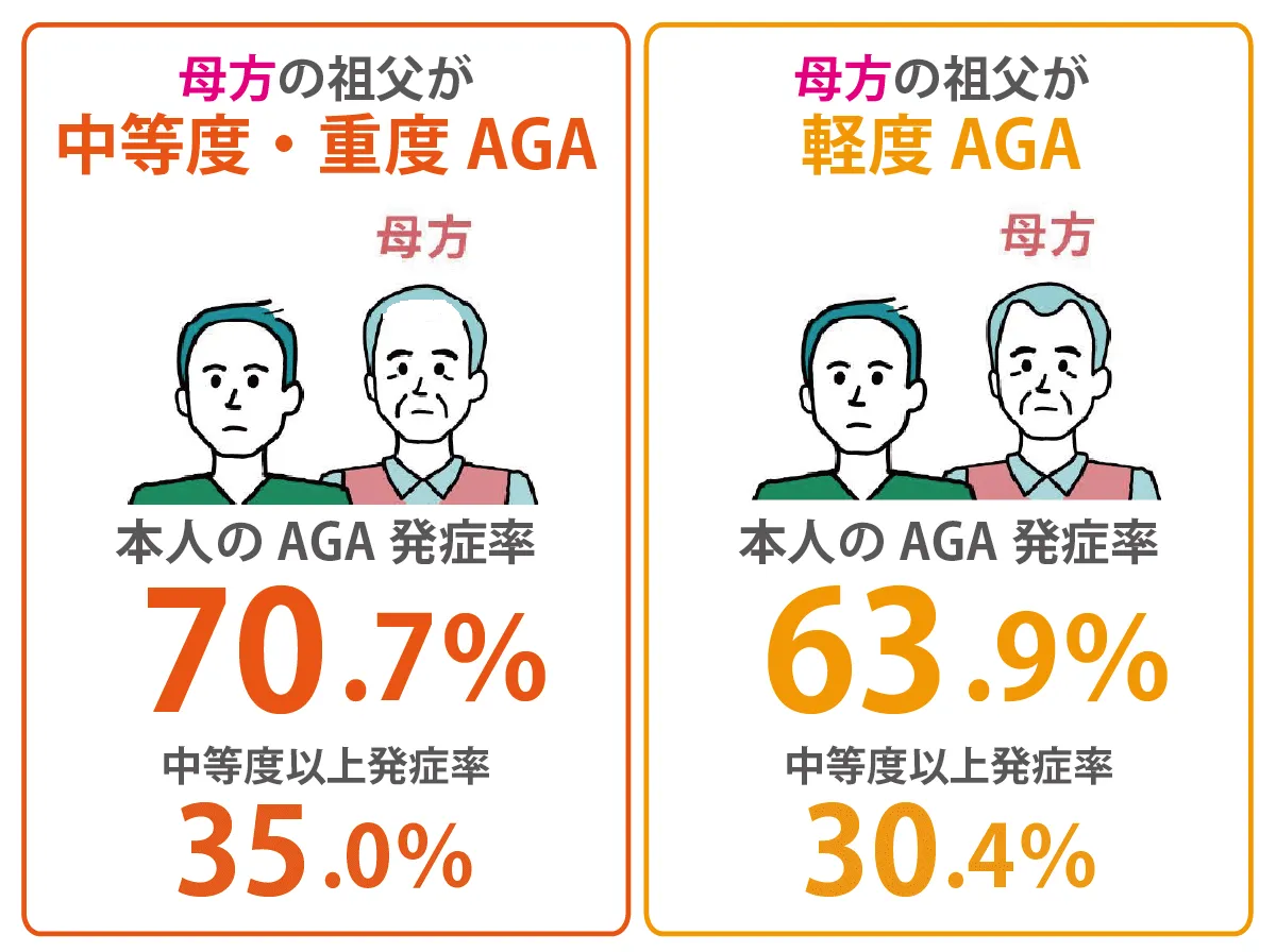 母方の祖父からのAGA遺伝率