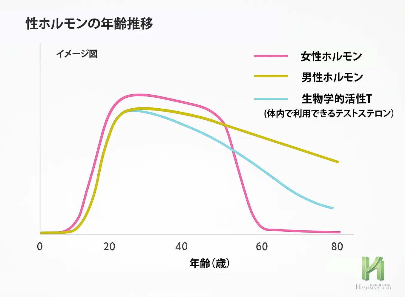 加齢とテストステロンの変化グラフ