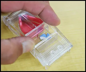 Step.10 カットした薬を保管