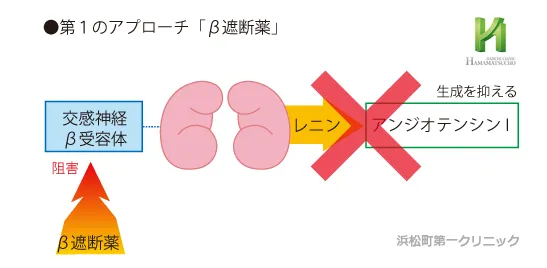 βブロッカーの降圧作用