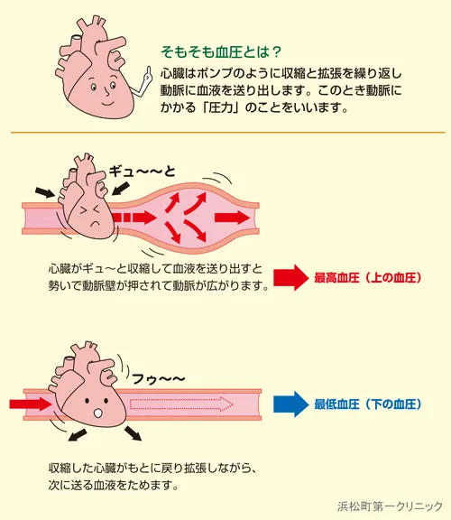そもそも血圧とは
