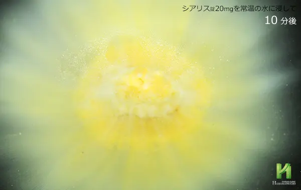 シアリス20mgの溶解状況:10分後