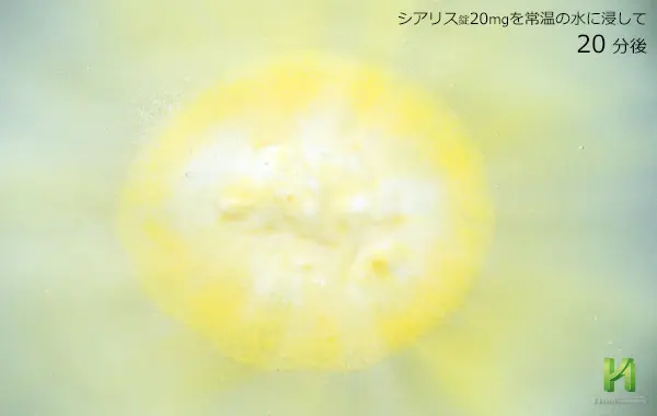 シアリス20mgの溶解状況:20分後
