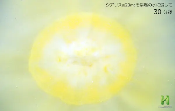 シアリス20mgの溶解状況:30分後