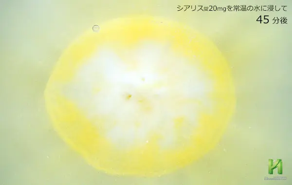 シアリス20mgの溶解状況:45分後