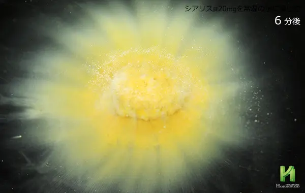 シアリス20mgの溶解状況:6分後