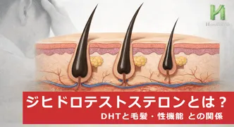 ジヒドロテストステロン(DHT)とは