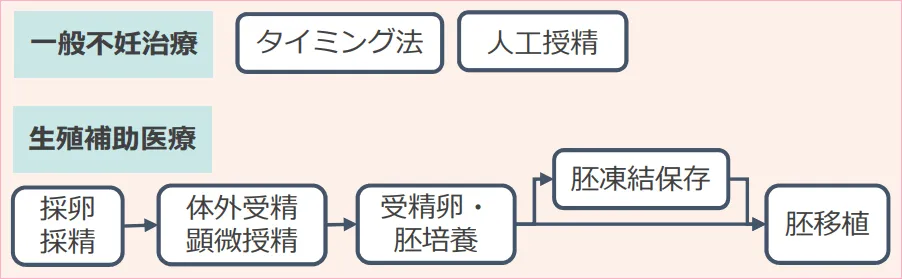 不妊治療の流れ