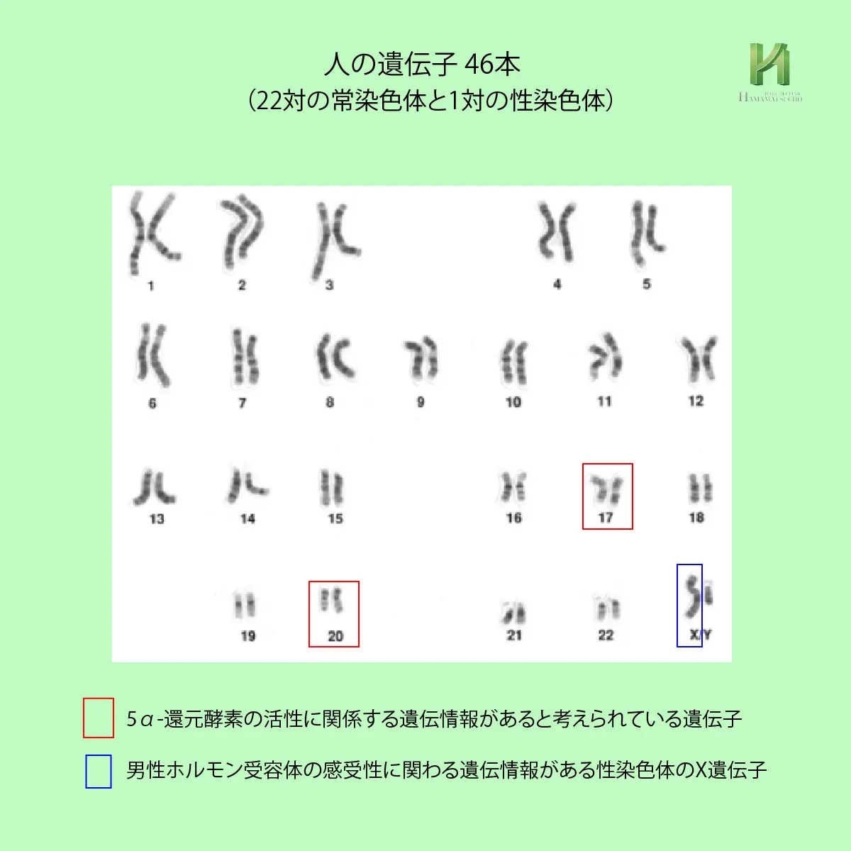 人の遺伝子