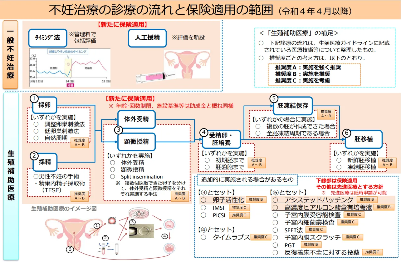 不妊治療の流れと健康保険の適用範囲