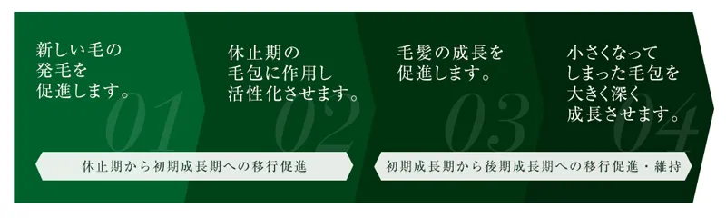 ミノアップ作用2