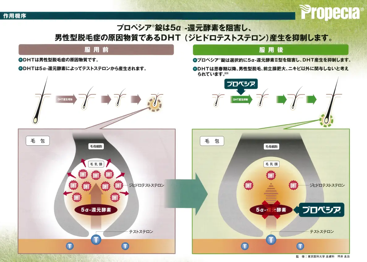 作用機序