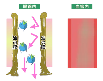 食後はED薬の有効成分が吸収されづらいことを表した図