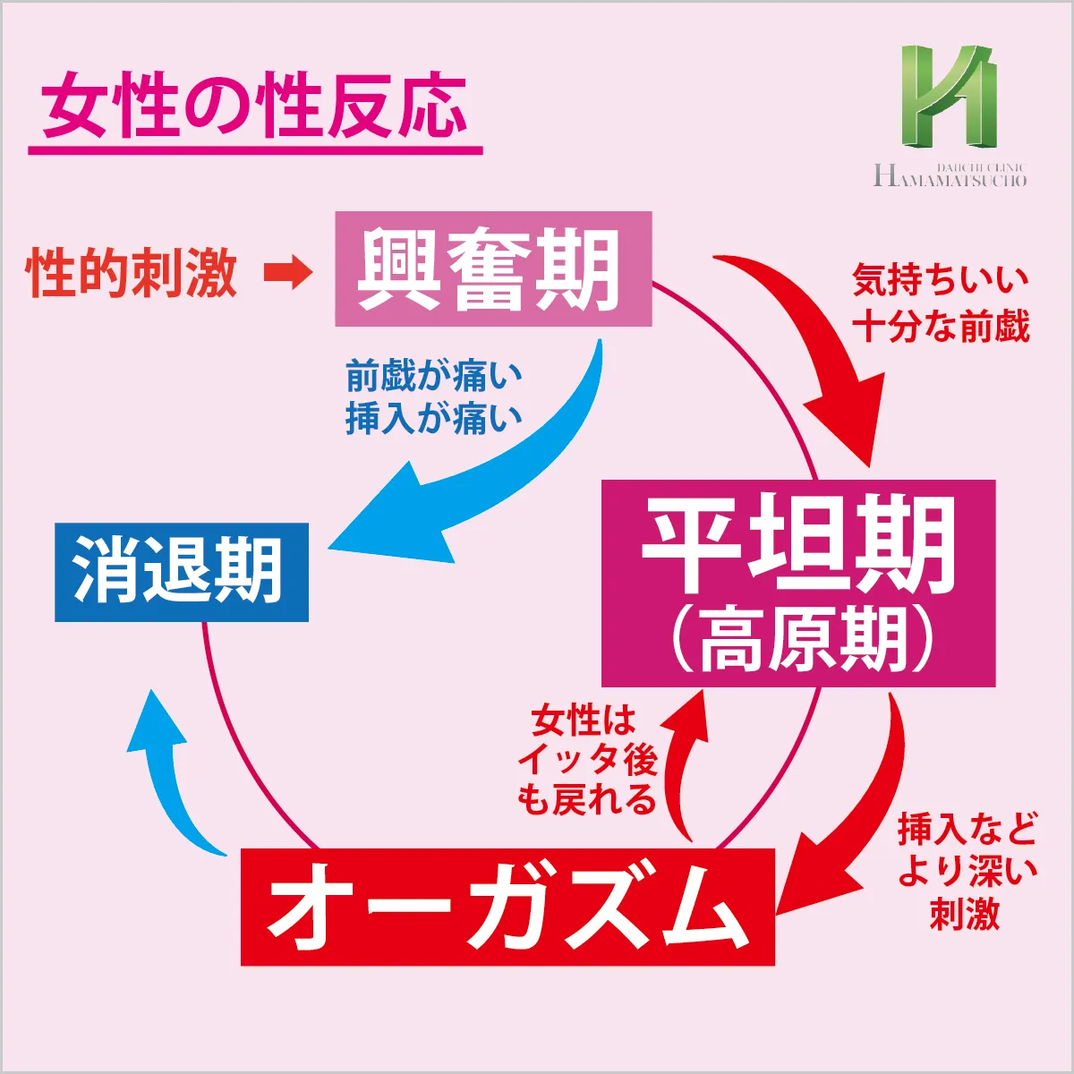 女性のオーガズム(イク)までの流れ